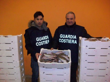 Sogliole sottomisura, maxisequestro a Pesaro item-thumbnail