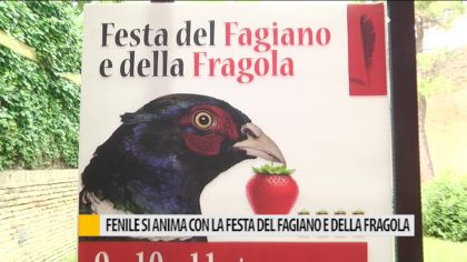 Fenile si anima con la festa del Fagiano e delle Fragola item-thumbnail
