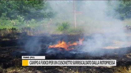 Campo a fuoco per un cuscinetto surriscaldato dalla rotopressa item-thumbnail