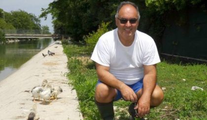 Canale Albani. 5 stelle Fano: la commedia dell’assurdo item-thumbnail