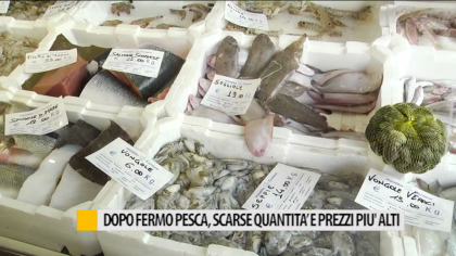 Dopo Fermo pesca, scarse quantità e prezzi più alti – VIDEO item-thumbnail