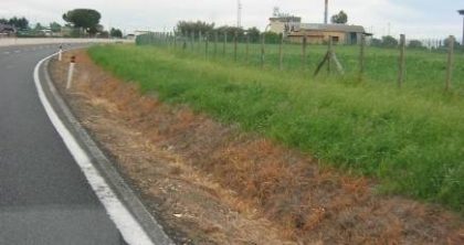 Tagliolini: “Stop all’utilizzo di glifosati e altri diserbanti. La nostra proposta ai Comuni” item-thumbnail