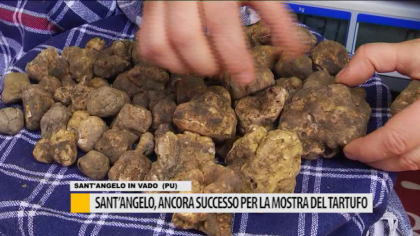 Tartufo. Sant’Angelo in Vado: Valerio Braschi e lo Show Cooking perfetto – VIDEO item-thumbnail