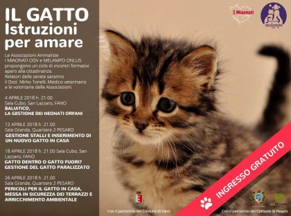 Incontri formativi per prendersi cura al meglio degli amici gatti item-thumbnail