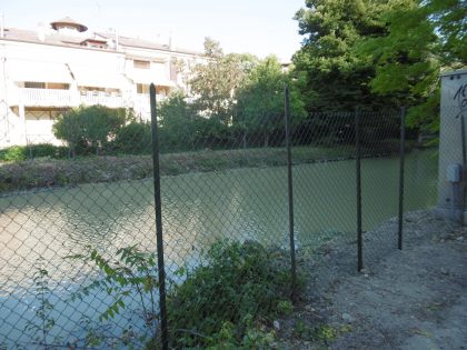 Canale Albani, rimosso l’albero caduto e ripristinata la rete di protezione item-thumbnail