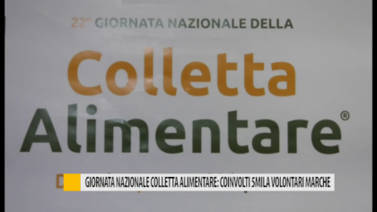 Giornata Nazionale Colletta Alimentare: coinvolti 5mila volontari Marche – VIDEO item-thumbnail