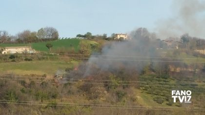 Fano, a fuoco 1000 metri quadri di vegetazione arbustiva. Intervento dei VVF – VIDEO item-thumbnail