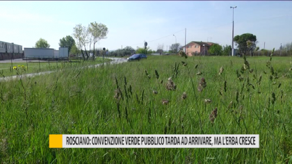 Rosciano: convenzione verde pubblico tarda ad arrivare, ma l’erba cresce – VIDEO item-thumbnail