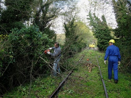 Mozione urgente per acquistare un tratto della ex ferrovia Fano – Urbino item-thumbnail