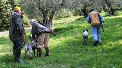 Marche: la stagione di caccia inizia il 21 settembre item-thumbnail