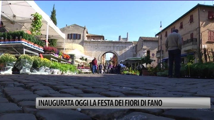 Fano Inaugurata La Festa Dei Fiori Video Occhio Alla