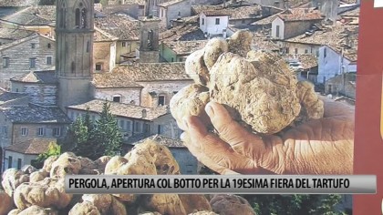 Pergola, apertura col botto per la 19esima Fiera del Tartufo – VIDEO item-thumbnail