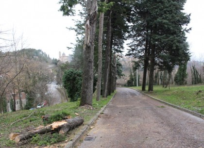 Il luogo dell'incidente a Urbino 2