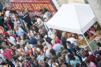 2014-pergola-fiera-tartufo