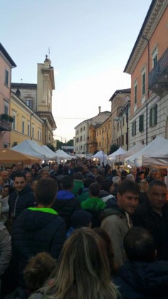 fiera tartufo pergola seconda domenica 2015