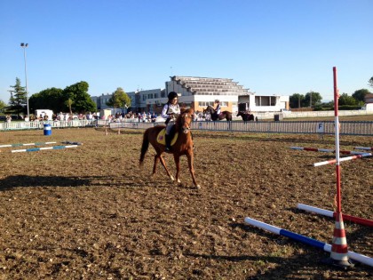 FANO GEO Dimostrazione equestre