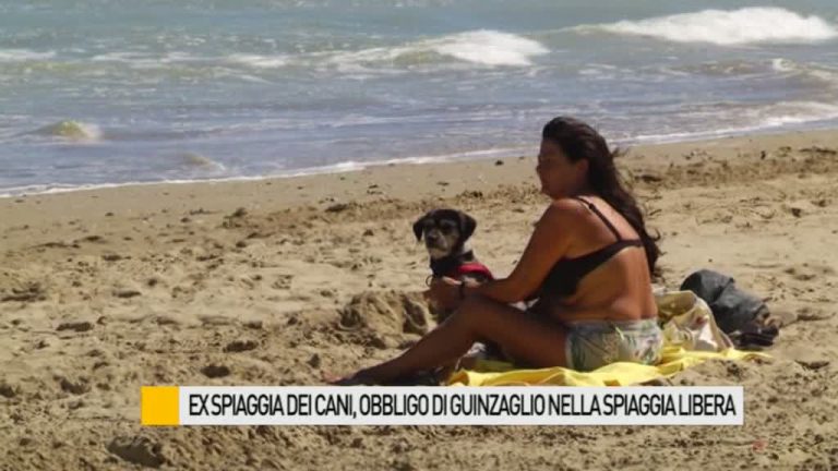 Ex spiaggia dei cani, obbligo di guinzaglio nella spiaggia libera – VIDEO