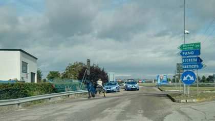cavallo-superstrada-fano