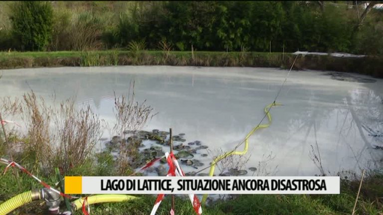 Lattice liquido, a tre settimane dall’incidente proseguono i lavori di bonifica. Laghetto ancora bianco – VIDEO