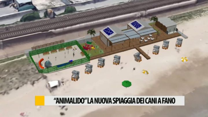 Arriva Animalido La Nuova Spiaggia Dei Cani A Fano Video