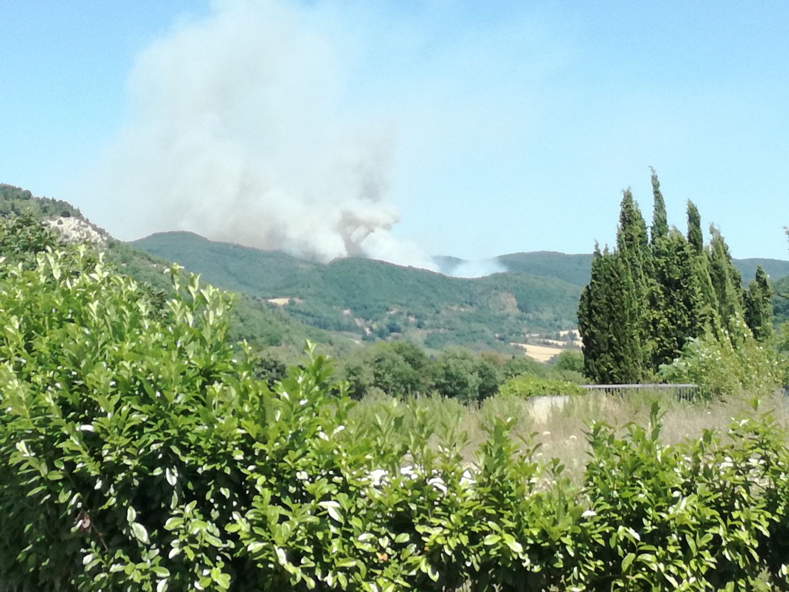 Allarme incendi il monte delle Cesane sembra un vulcano in eruzione
