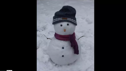 Il Grande Freddo – Album 5 item-thumbnail