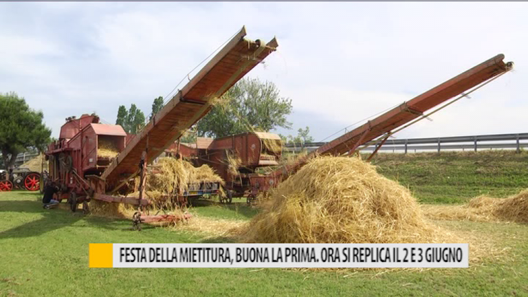 Festa della Mietitura, buona la prima. Ora si replica il 2 e 3 giugno – VIDEO