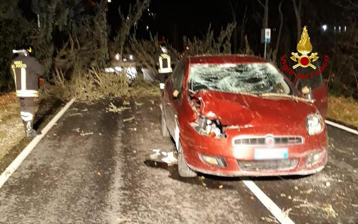 Maltempo: a Osimo vento abbatte albero su auto in transito