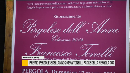 Premio “Pergolese dell’anno 2019” a Tonelli, padre della pergola doc – VIDEO item-thumbnail