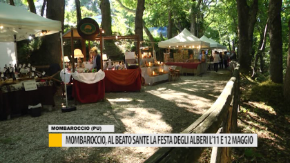 Mombaroccio, al Beato Sante la “Festa degli Alberi” l’11 e 12 maggio – VIDEO item-thumbnail