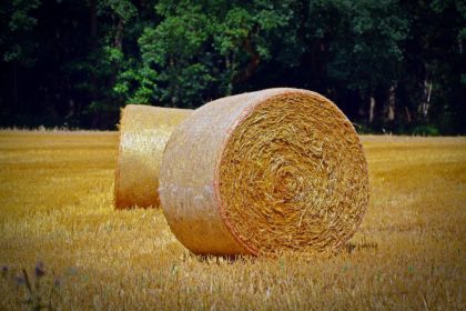 Trattore si ribalta durante la raccolta delle balle di fieno. Morto agricoltore item-thumbnail