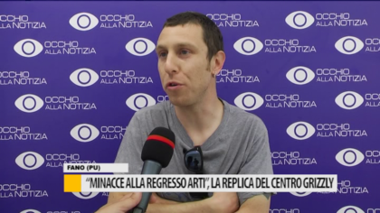 “Minacce alla Regresso Arti”, la replica del centro Grizzly – VIDEO item-thumbnail
