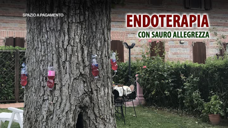 ENDOTERAPIA 2 con Sauro Allegrezza – Approfondimento