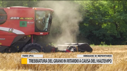 Trebbiatura del grano in ritardo a causa del maltempo – VIDEO item-thumbnail
