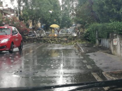 Maltempo, violenti temporali nelle Marche: ancora danni e strade allagate – FOTO e VIDEO item-thumbnail