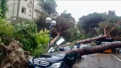 Maltempo, violenta tromba d’aria a Milano Marittima: strage di alberi – Guarda i VIDEO item-thumbnail