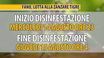Disinfestazione da zanzara tigre a Fano: il 14 agosto a partire dalle ore 23 item-thumbnail
