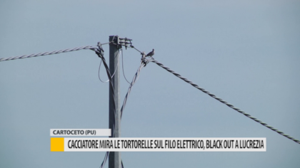 Cacciatore mira alle tortorelle sul filo elettrico: blackout a Lucrezia – VIDEO item-thumbnail