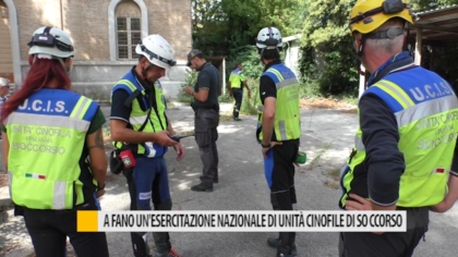 A Fano un’esercitazione nazionale di unità cinofile di soccorso – VIDEO item-thumbnail