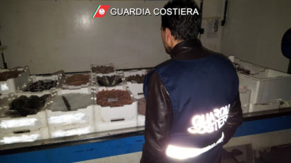 Controlli sulla filiera della pesca: 24 sanzioni e prodotto ittico sequestrato item-thumbnail