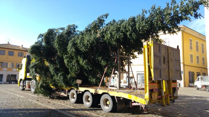 Arriva Lalbero Di Natale Alto 15 Metri è Stato Donato Da