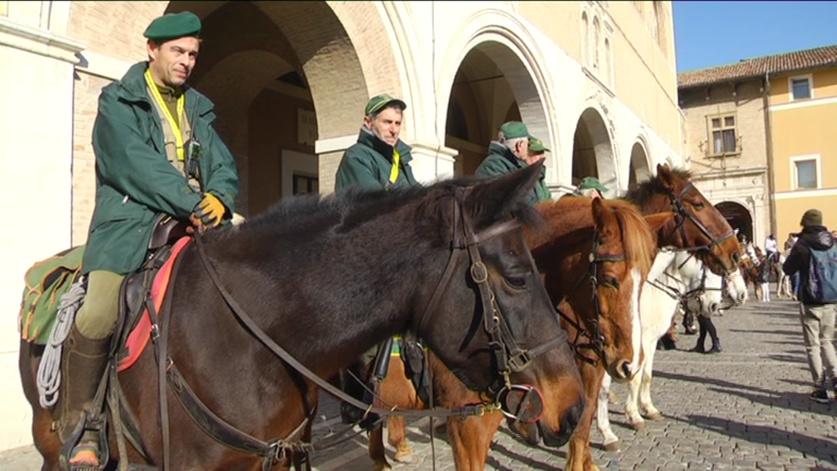 Sant’Antonio Abate: il 19 gennaio la benedizione degli animali in Piazza a Fano
