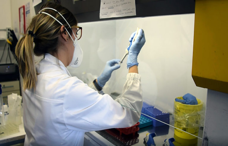 Covid Marche: 9 decessi in 24 ore. Terapia intensiva -1 Covid Marche: 9 decessi in 24 ore. Terapia intensiva -1