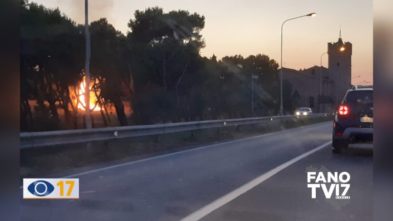 Fano, incendio alla Pineta di Ponte Metauro – VIDEO