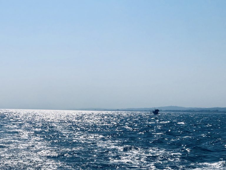 Fano, la Lega Navale lancia la seconda edizione di “Vela No Limits”: vela inclusiva per persone con disabilità