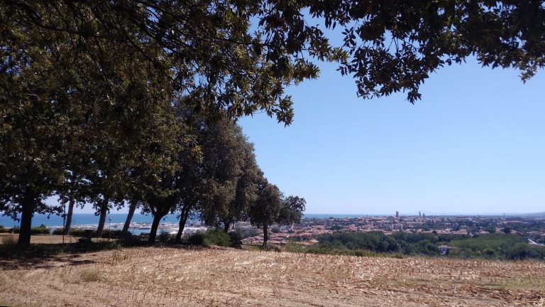Variante Gimarra a Fano, comitato: “Raccolte oltre 1200 firme contro un progetto scellerato”