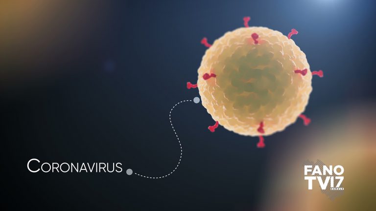 Nuovo record di positivi in 24 ore nella Regione Marche: sono 521