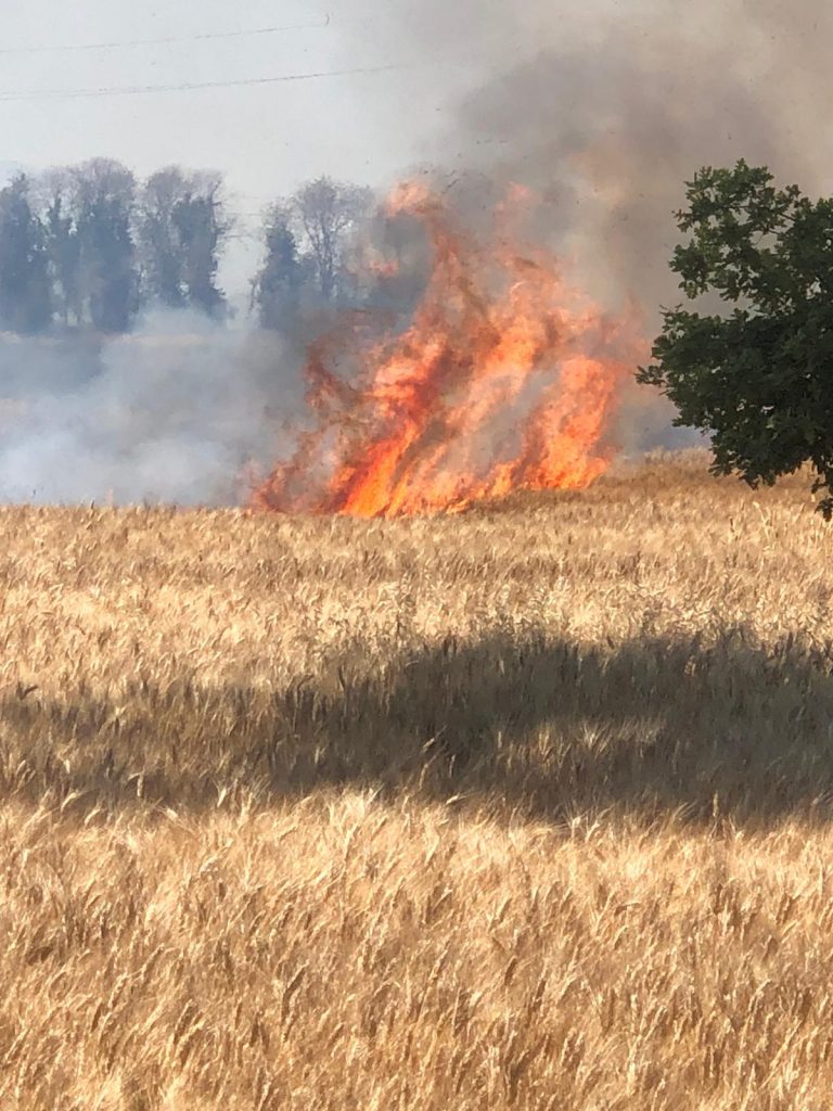 A fuoco un campo di grano a Falcineto di Fano – VIDEO e FOTO