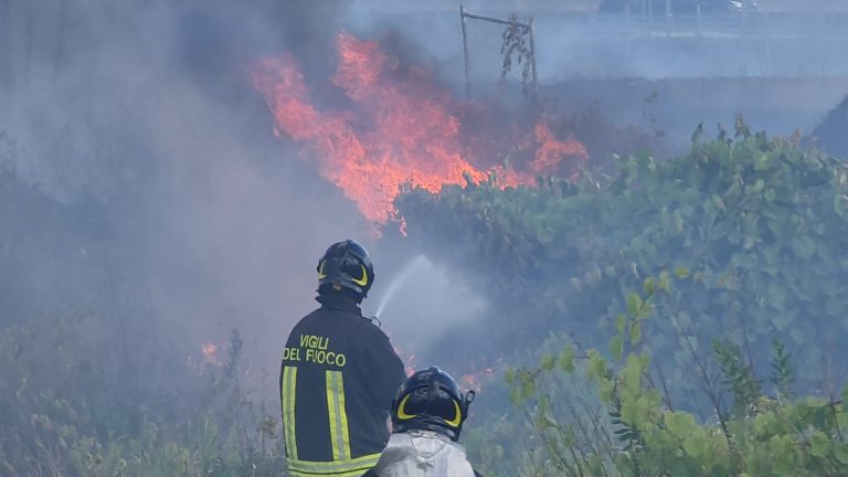 Superlavoro dei vigili del fuoco: campi in fiamme a Pesaro, Monte Porzio e Colli al Metauro