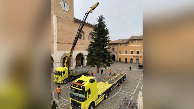 Fano: in piazza XX Settembre è arrivato l’Albero per il Natale 2021 – FOTO